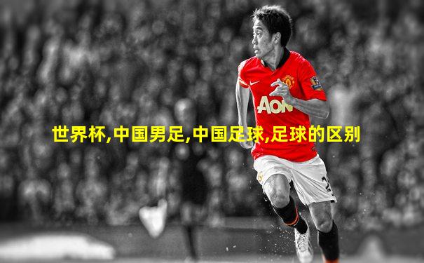 世界杯,中国男足,中国足球,足球的区别