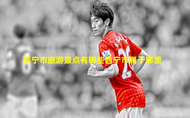 西宁市旅游景点有哪些西宁市属于哪里