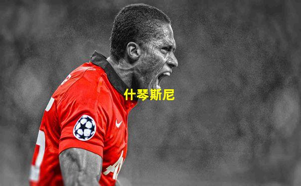 什琴斯尼