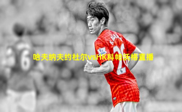 哈夫纳夫约杜尔vsHK科帕沃格直播