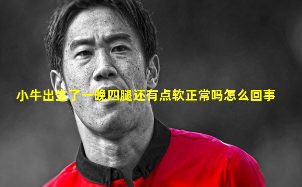 小牛出生了一晚四腿还有点软正常吗怎么回事