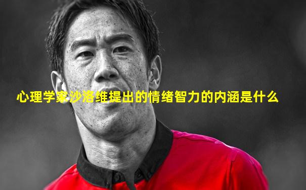 心理学家沙洛维提出的情绪智力的内涵是什么