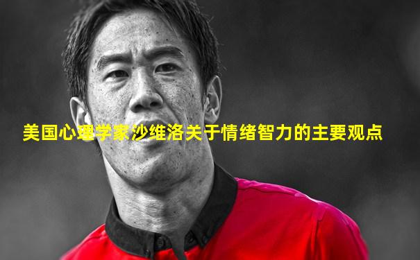 美国心理学家沙维洛关于情绪智力的主要观点
